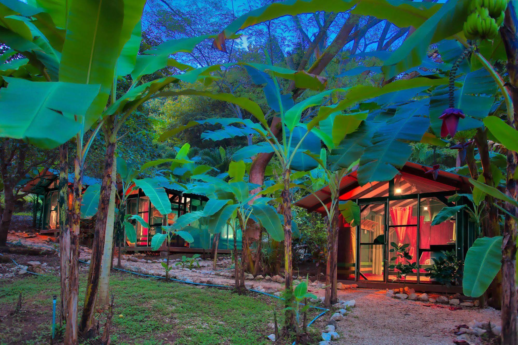 فندق Jungle'S Edge نوسارا المظهر الخارجي الصورة